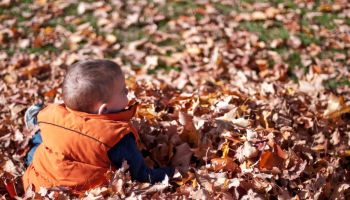 Orange farvesymbolik - Det betyder farven